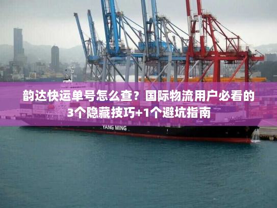 韵达快运单号怎么查？国际物流用户必看的3个隐藏技巧+1个避坑指南