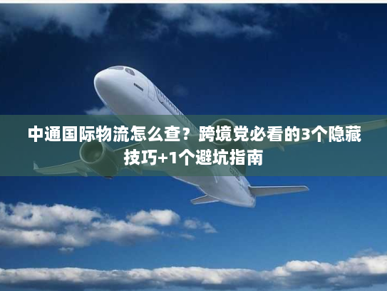 中通国际物流怎么查？跨境党必看的3个隐藏技巧+1个避坑指南