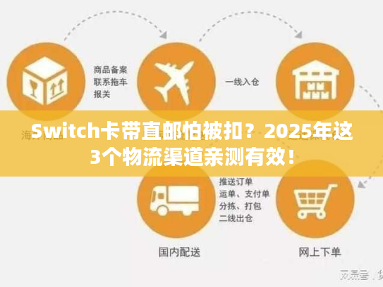 Switch卡带直邮怕被扣？2025年这3个物流渠道亲测有效！