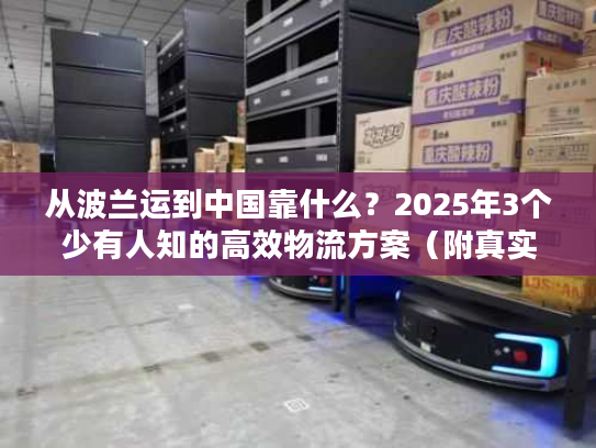 从波兰运到中国靠什么？2025年3个少有人知的高效物流方案（附真实案例）