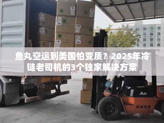鱼丸空运到美国怕变质？2025年冷链老司机的3个独家解决方案