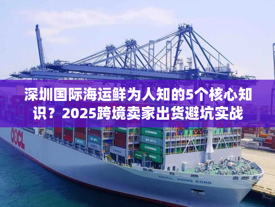 深圳国际海运鲜为人知的5个核心知识？2025跨境卖家出货避坑实战