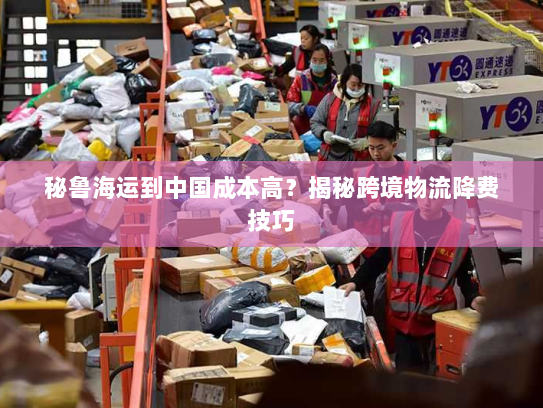 秘鲁海运到中国成本高?揭秘跨境物流降费技巧 秘鲁海运到中国成本高?揭秘跨境物流降费技巧