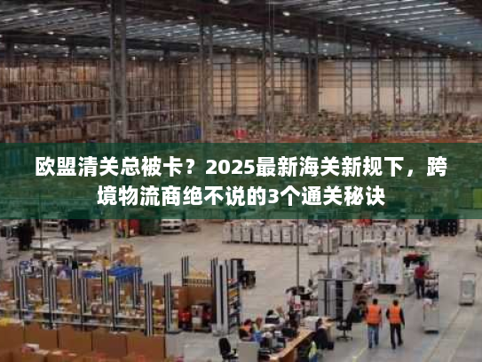 欧盟清关总被卡？2025最新海关新规下，跨境物流商绝不说的3个通关秘诀