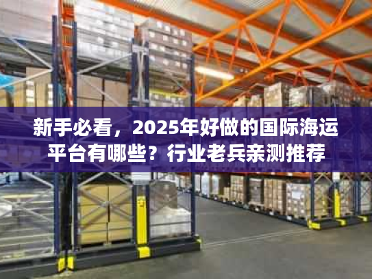 新手必看，2025年好做的国际海运平台有哪些？行业老兵亲测推荐