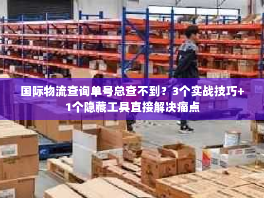 国际物流查询单号总查不到？3个实战技巧+1个隐藏工具直接解决痛点