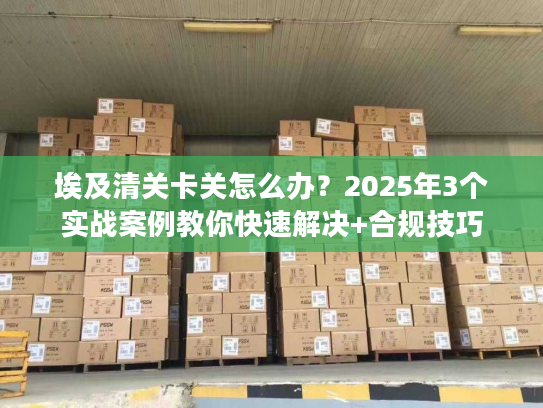 埃及清关卡关怎么办？2025年3个实战案例教你快速解决+合规技巧