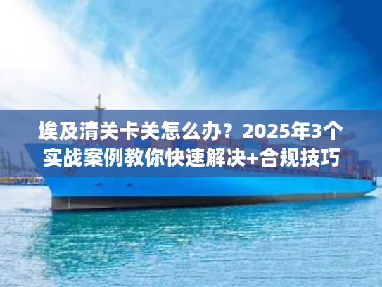 埃及清关卡关怎么办？2025年3个实战案例教你快速解决+合规技巧