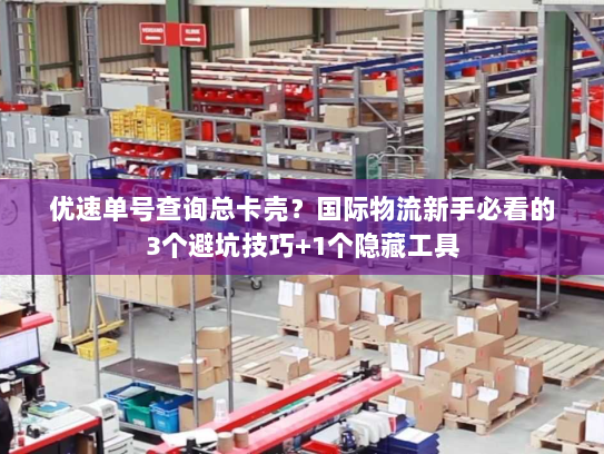 优速单号查询总卡壳？国际物流新手必看的3个避坑技巧+1个隐藏工具