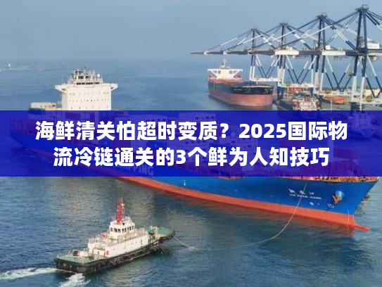 海鲜清关怕超时变质？2025国际物流冷链通关的3个鲜为人知技巧