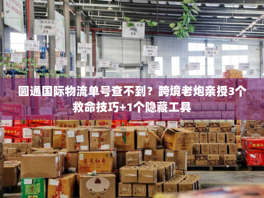 圆通国际物流单号查不到？跨境老炮亲授3个救命技巧+1个隐藏工具