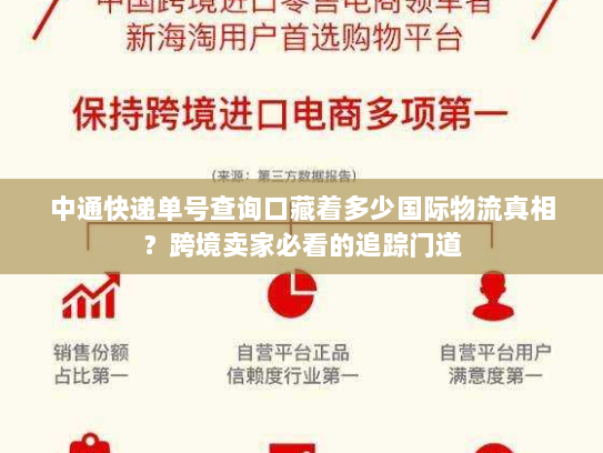中通快递单号查询口藏着多少国际物流真相？跨境卖家必看的追踪门道