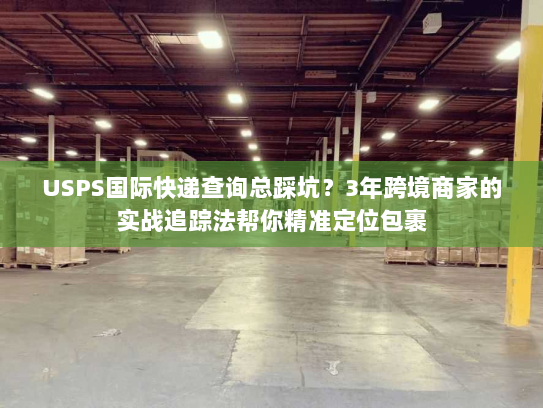 USPS国际快递查询总踩坑？3年跨境商家的实战追踪法帮你精准定位包裹