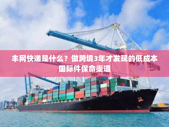丰网快递是什么？做跨境3年才发现的低成本国际件保命渠道