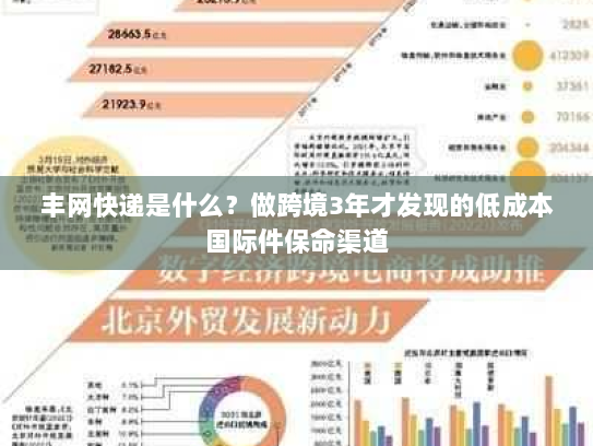丰网快递是什么？做跨境3年才发现的低成本国际件保命渠道
