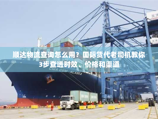 顺达物流查询怎么用？国际货代老司机教你3步查透时效、价格和渠道