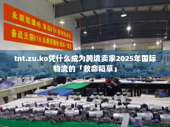 tnt.zu.ko凭什么成为跨境卖家2025年国际物流的「救命稻草」 tnt.zu.ko凭什么成为跨境卖家2025年国际物流的「救命稻草」