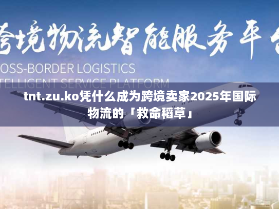 tnt.zu.ko凭什么成为跨境卖家2025年国际物流的「救命稻草」 tnt.zu.ko凭什么成为跨境卖家2025年国际物流的「救命稻草」