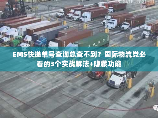 EMS快递单号查询总查不到？国际物流党必看的3个实战解法+隐藏功能