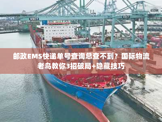 邮政EMS快递单号查询总查不到？国际物流老鸟教你3招破局+隐藏技巧