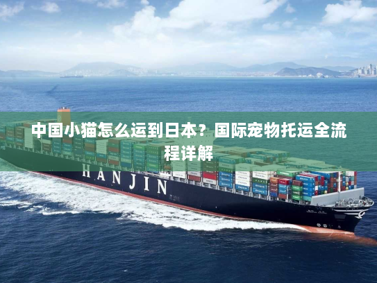 中国小猫怎么运到日本？国际宠物托运全流程详解