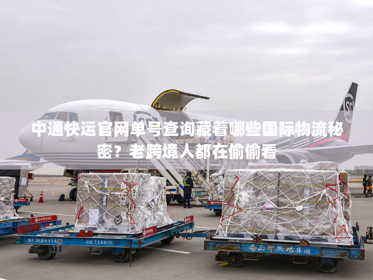 中通快运官网单号查询藏着哪些国际物流秘密？老跨境人都在偷偷看