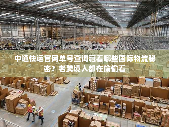 中通快运官网单号查询藏着哪些国际物流秘密？老跨境人都在偷偷看