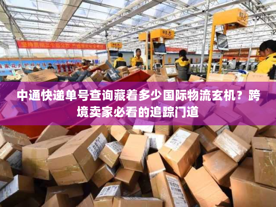 中通快递单号查询藏着多少国际物流玄机？跨境卖家必看的追踪门道