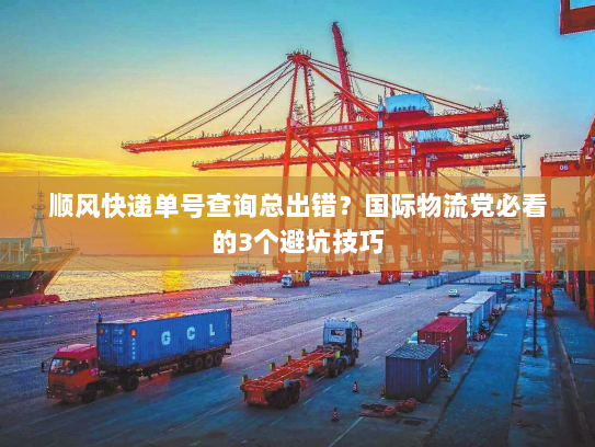 顺风快递单号查询总出错？国际物流党必看的3个避坑技巧