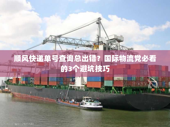 顺风快递单号查询总出错？国际物流党必看的3个避坑技巧
