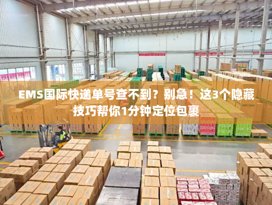 EMS国际快递单号查不到？别急！这3个隐藏技巧帮你1分钟定位包裹
