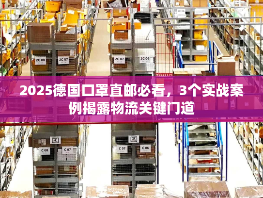 2025德国口罩直邮必看，3个实战案例揭露物流关键门道