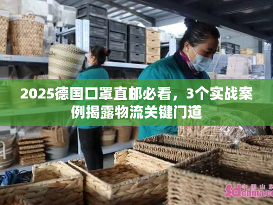 2025德国口罩直邮必看，3个实战案例揭露物流关键门道