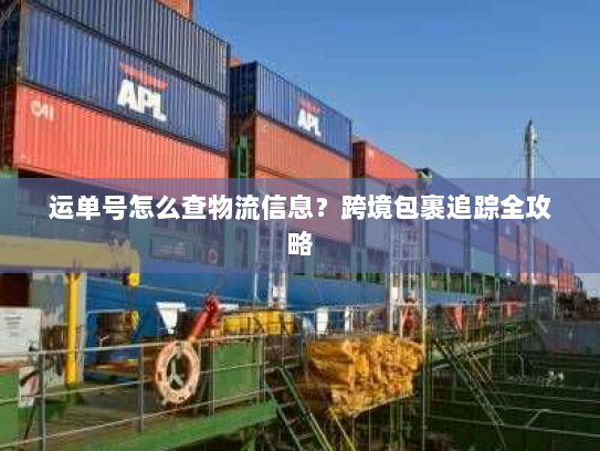 运单号怎么查物流信息?跨境包裹追踪全攻略 运单号怎么查物流信息?跨境包裹追踪全攻略