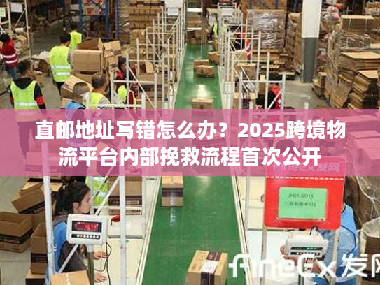 直邮地址写错怎么办?2025跨境物流平台内部挽救流程首次公开 直邮地址写错怎么办?2025跨境物流平台内部挽救流程首次公开