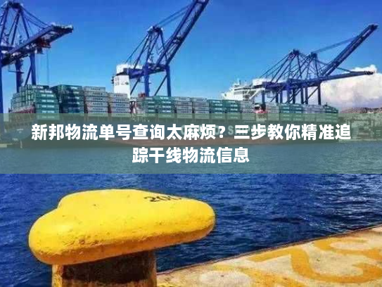 新邦物流单号查询太麻烦?三步教你精准追踪干线物流信息 新邦物流单号查询太麻烦?三步教你精准追踪干线物流信息