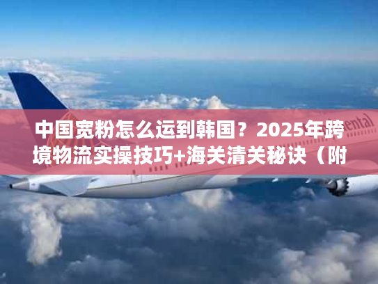 中国宽粉怎么运到韩国？2025年跨境物流实操技巧+海关清关秘诀（附独家时效数据）