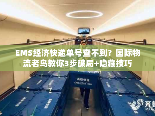 EMS经济快递单号查不到?国际物流老鸟教你3步破局+隐藏技巧 EMS经济快递单号查不到?国际物流老鸟教你3步破局+隐藏技巧