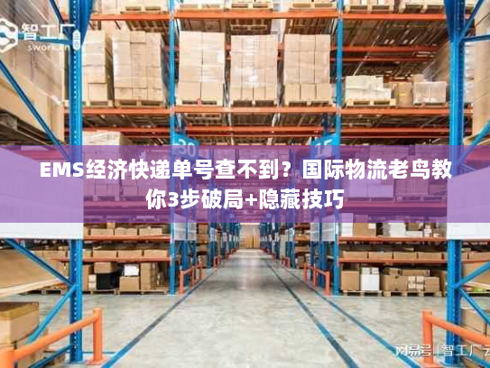 EMS经济快递单号查不到？国际物流老鸟教你3步破局+隐藏技巧