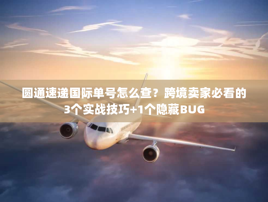 圆通速递国际单号怎么查？跨境卖家必看的3个实战技巧+1个隐藏BUG