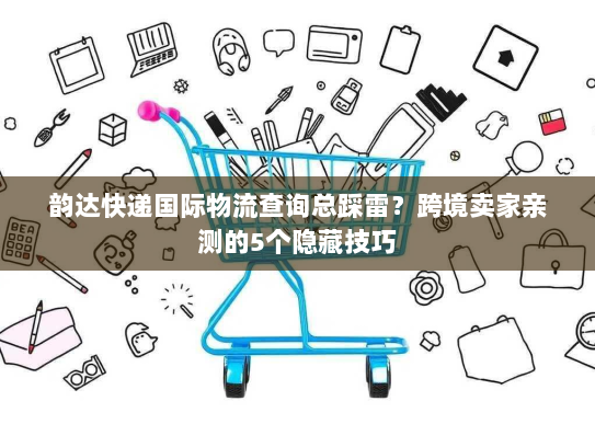 韵达快递国际物流查询总踩雷？跨境卖家亲测的5个隐藏技巧
