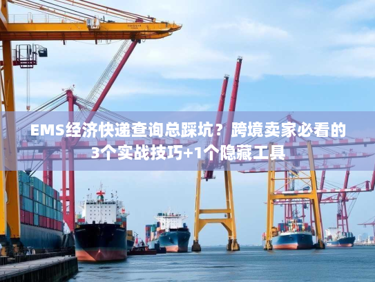 EMS经济快递查询总踩坑？跨境卖家必看的3个实战技巧+1个隐藏工具