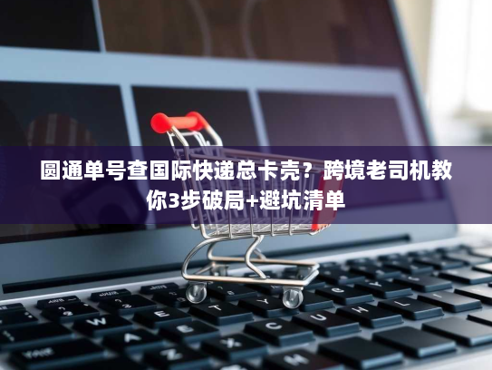 圆通单号查国际快递总卡壳？跨境老司机教你3步破局+避坑清单