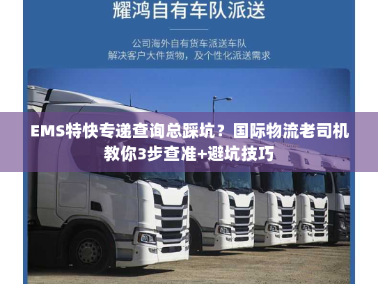 EMS特快专递查询总踩坑？国际物流老司机教你3步查准+避坑技巧