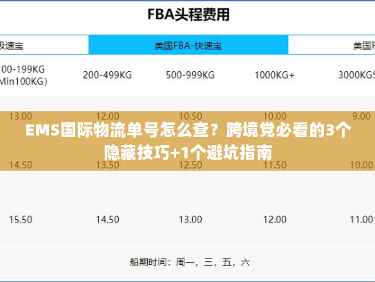EMS国际物流单号怎么查？跨境党必看的3个隐藏技巧+1个避坑指南