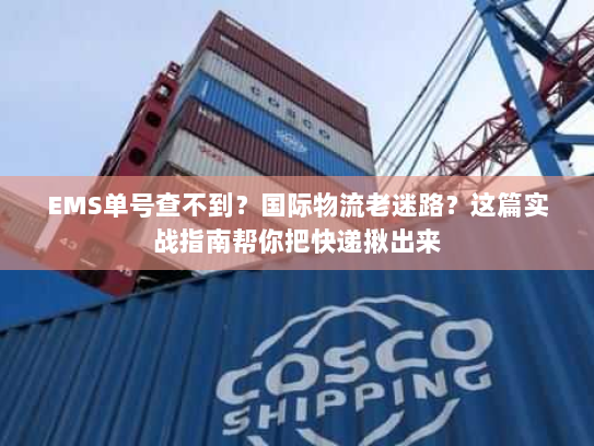 EMS单号查不到？国际物流老迷路？这篇实战指南帮你把快递揪出来