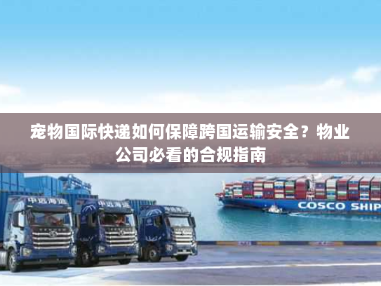 宠物国际快递如何保障跨国运输安全?物业公司必看的合规指南 宠物国际快递如何保障跨国运输安全?物业公司必看的合规指南