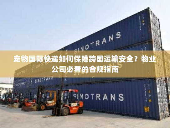 宠物国际快递如何保障跨国运输安全?物业公司必看的合规指南 宠物国际快递如何保障跨国运输安全?物业公司必看的合规指南