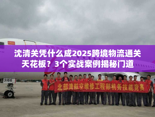 沈清关凭什么成2025跨境物流通关天花板？3个实战案例揭秘门道