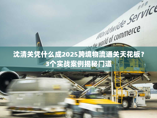 沈清关凭什么成2025跨境物流通关天花板？3个实战案例揭秘门道